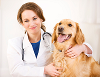 Peachtree Creek Animal Hospital logo
